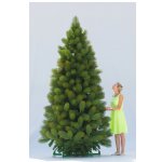 Кедр интерьерный Green Trees Канадский Premium 5.5 м