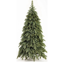   Crystal Trees  - 300 