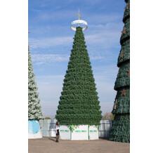  Green Trees   18 