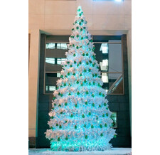   Green Trees   30 