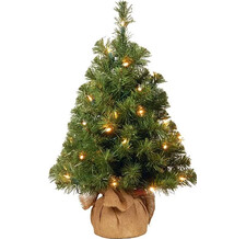 Ель настольная в мешочке Noble Spruce Tree, 91 см, 35 LED ламп, батарейки, National Tree Co