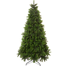   Crystal Trees   225 