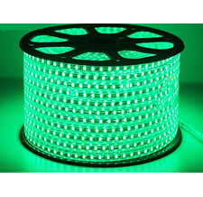   Rich LED, 2- , ,    1 ,  13 , 220 ,100 ,